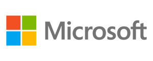 microsoft Partner